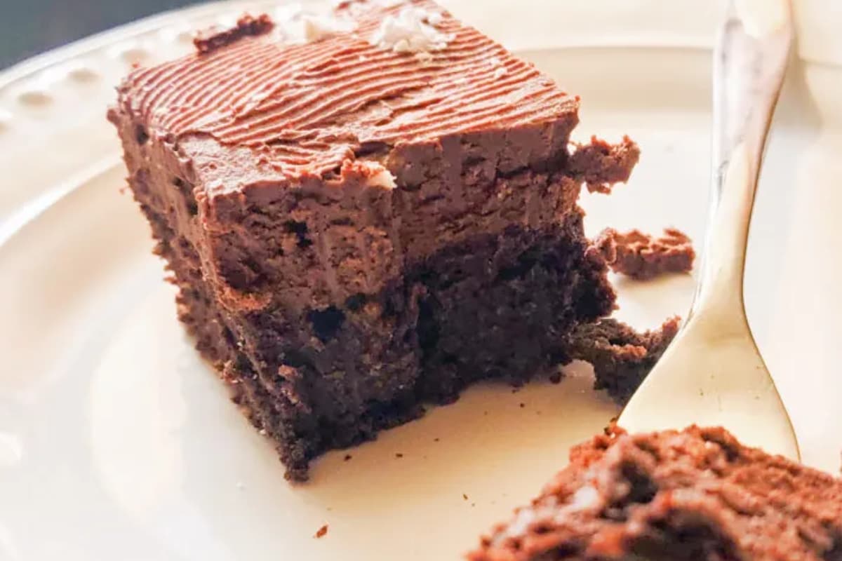 A plate of low carb sugar free brownies.