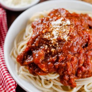 A plate of spaghetti with rich tomato sauce.