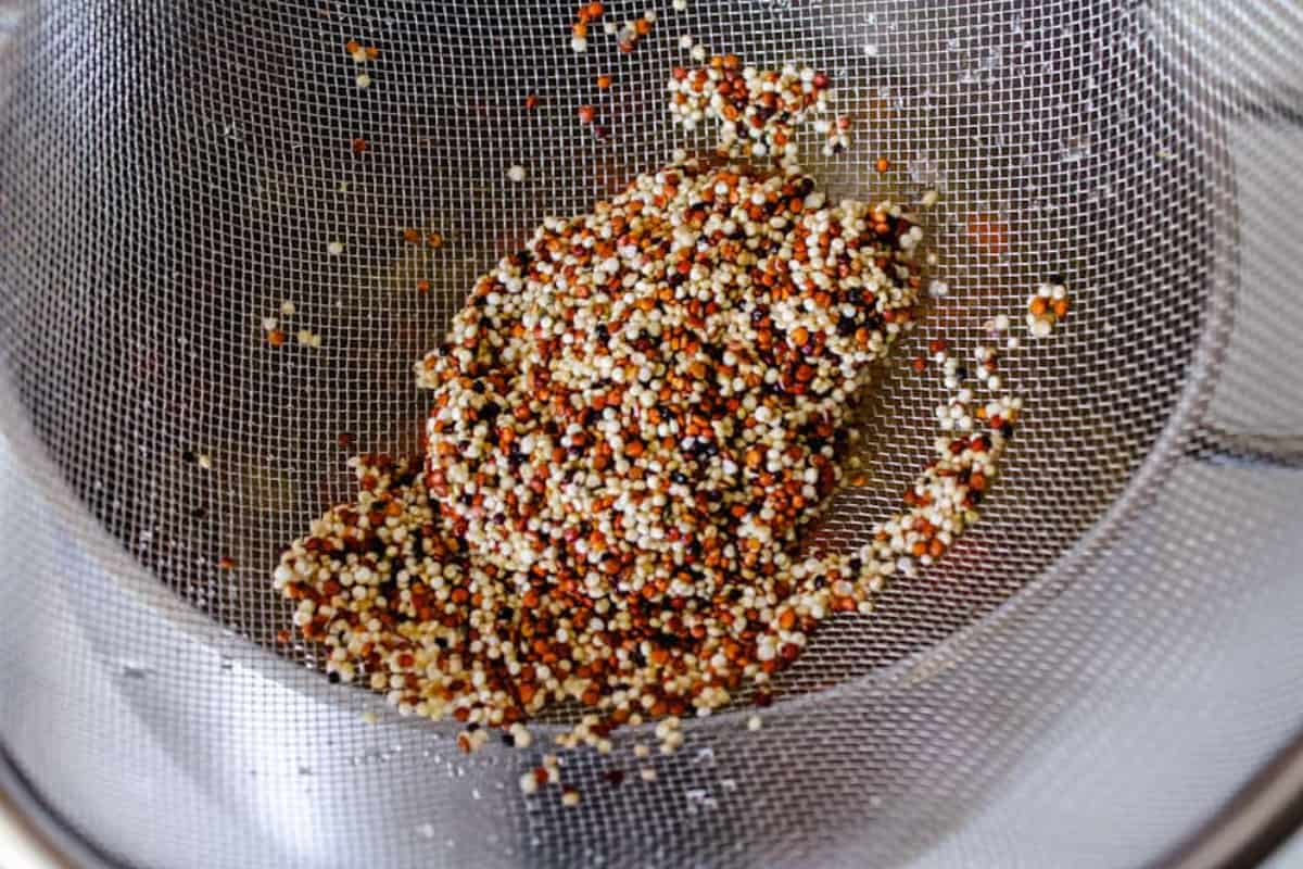Quinoa being rinsed in a sieve.