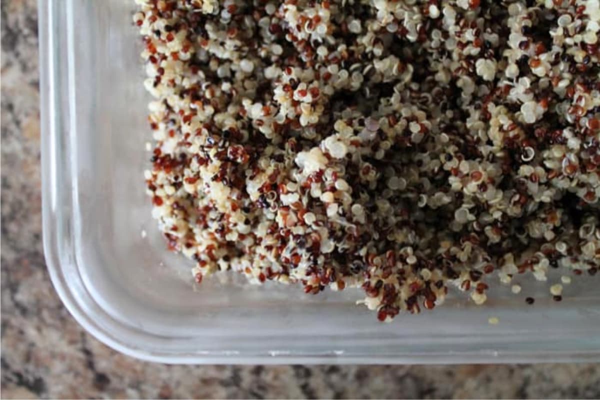A dish of cooked quinoa.