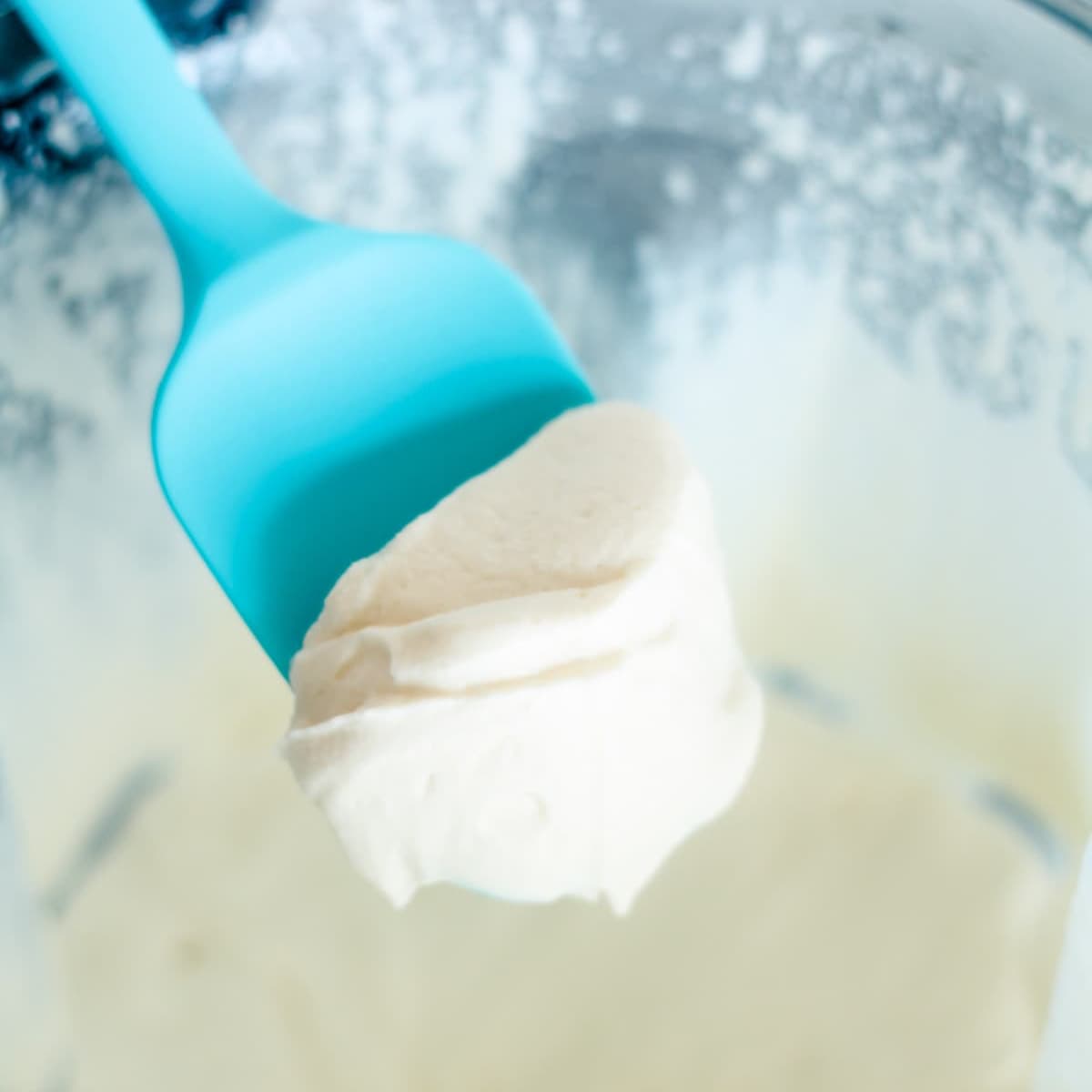 A spoonful of Vitamix whipped cream.