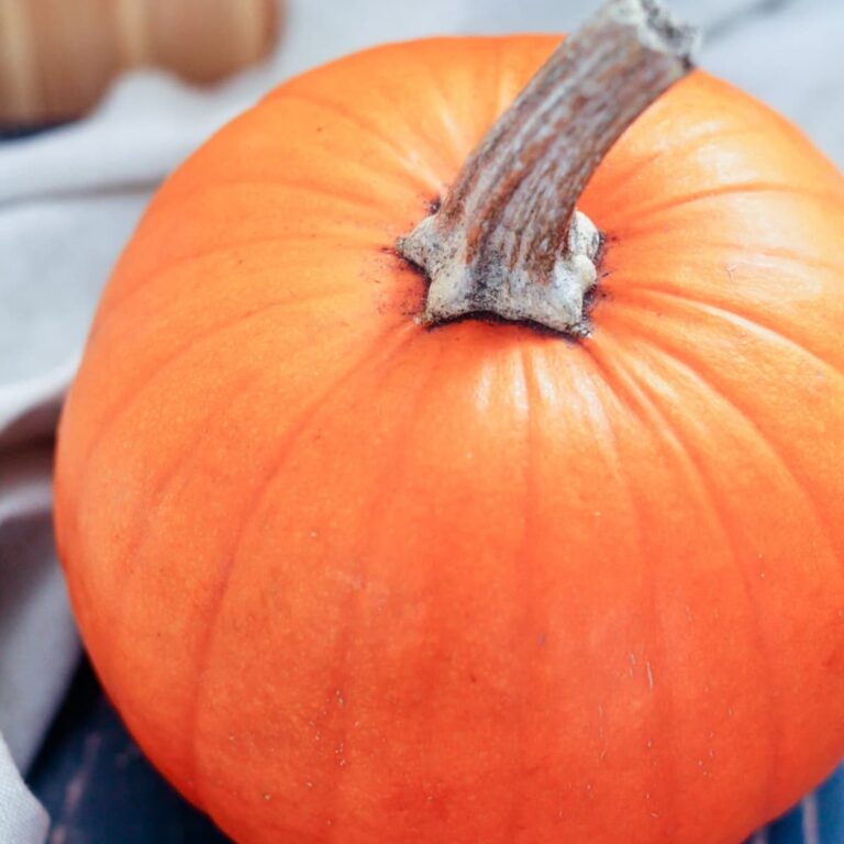 A pumpkin on a board.