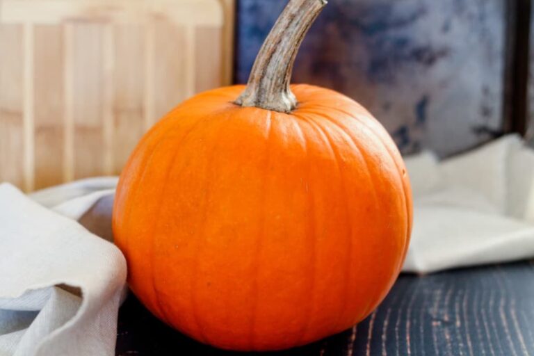 A pumpkin on a board.