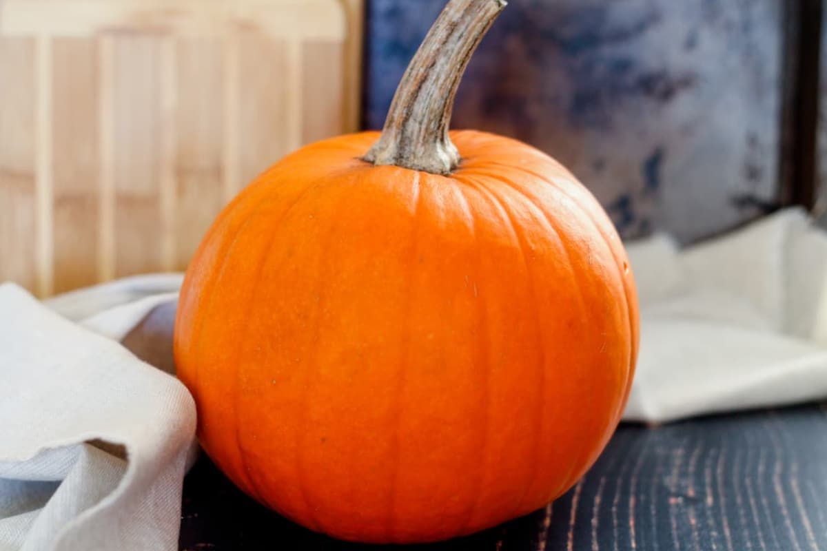 An image of a pumpkin on a board that is ready to freeze..