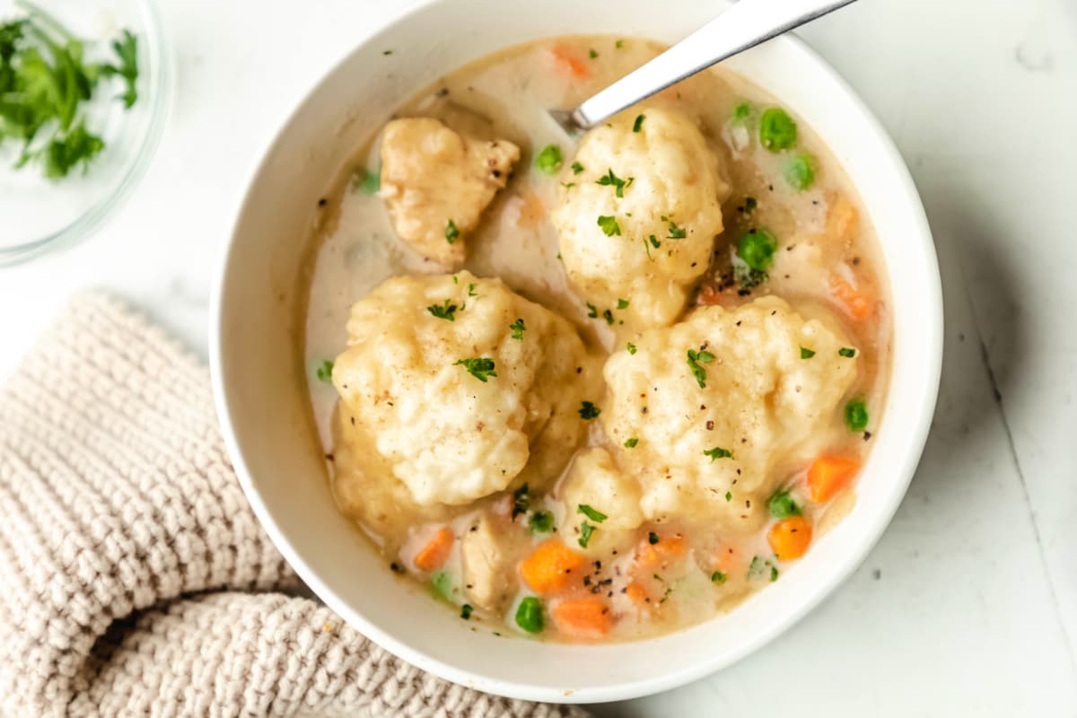 A bowl of chicken dumpling stew.