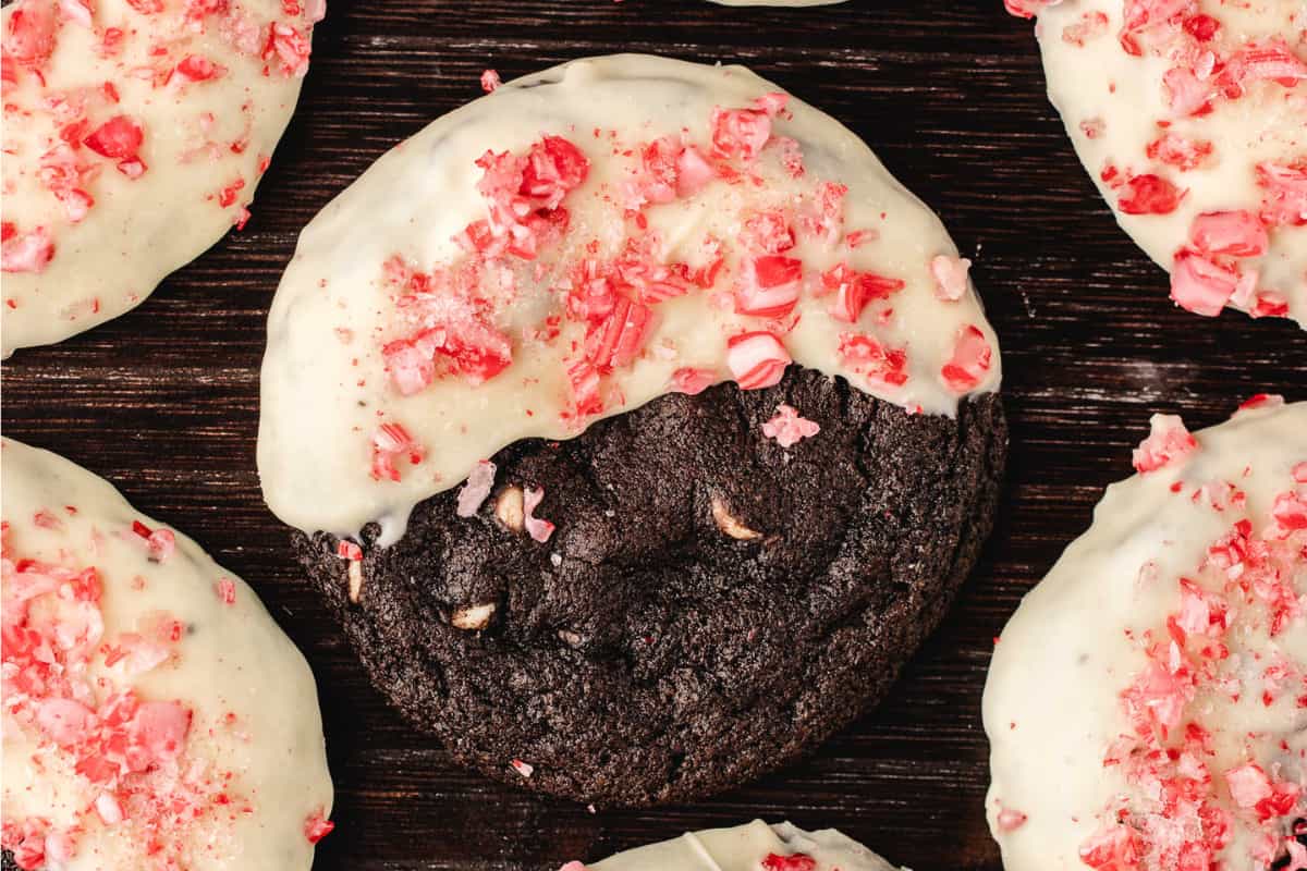 A tray of Chocolate Candy Cane Cookies.