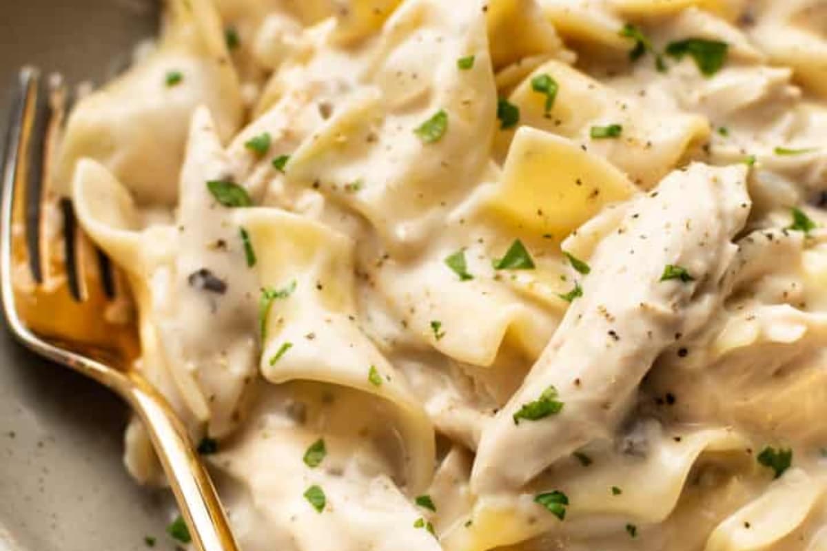 A plate of Easy One Pot Chicken and Noodles.