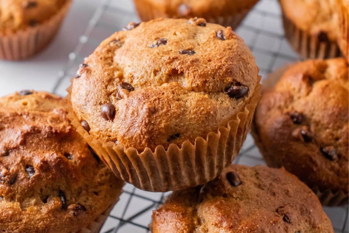 A plate of Whole Wheat Protein Muffins.