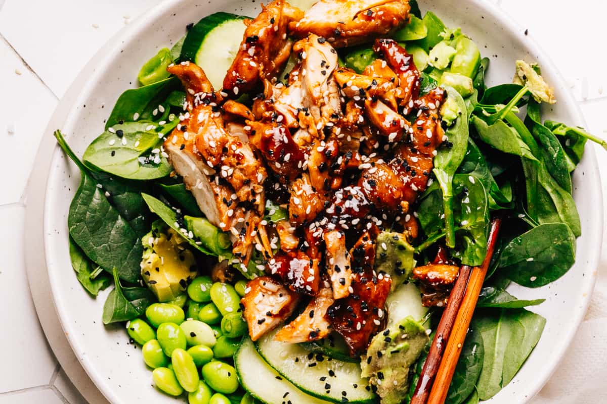 A plate of teriyaki bowl.