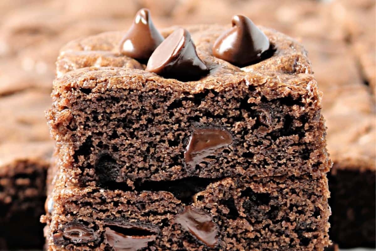 A plate of Chocolate Chocolate Chip Cookie Bars.