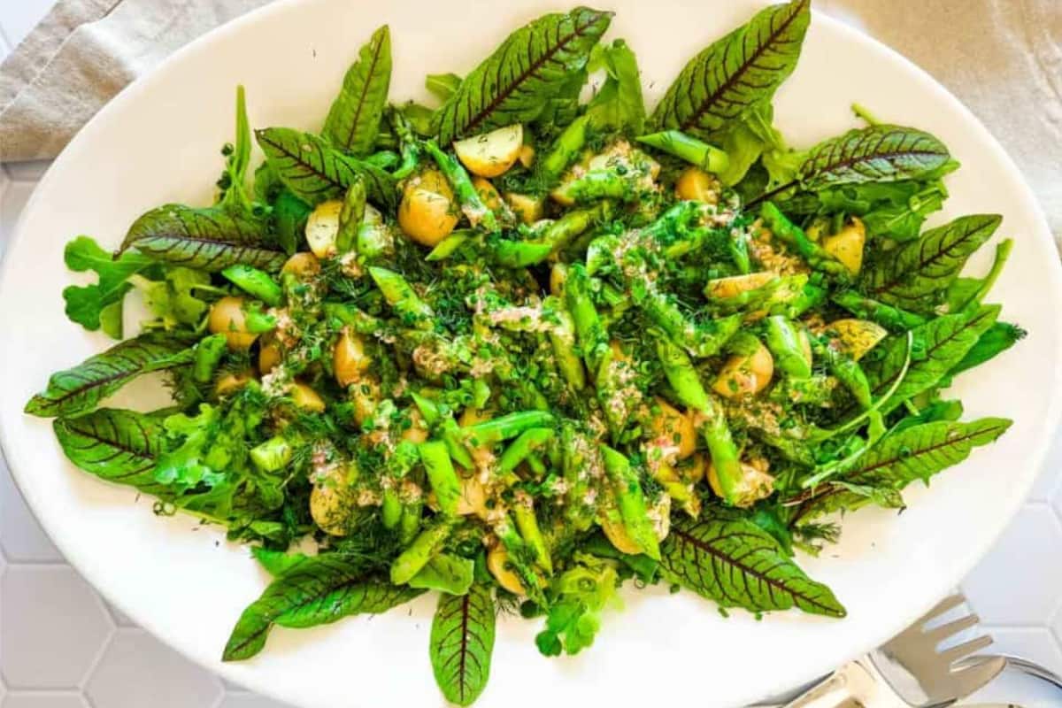 A plate of Potato Salad with Asparagus and Parmesan Vinaigrette.