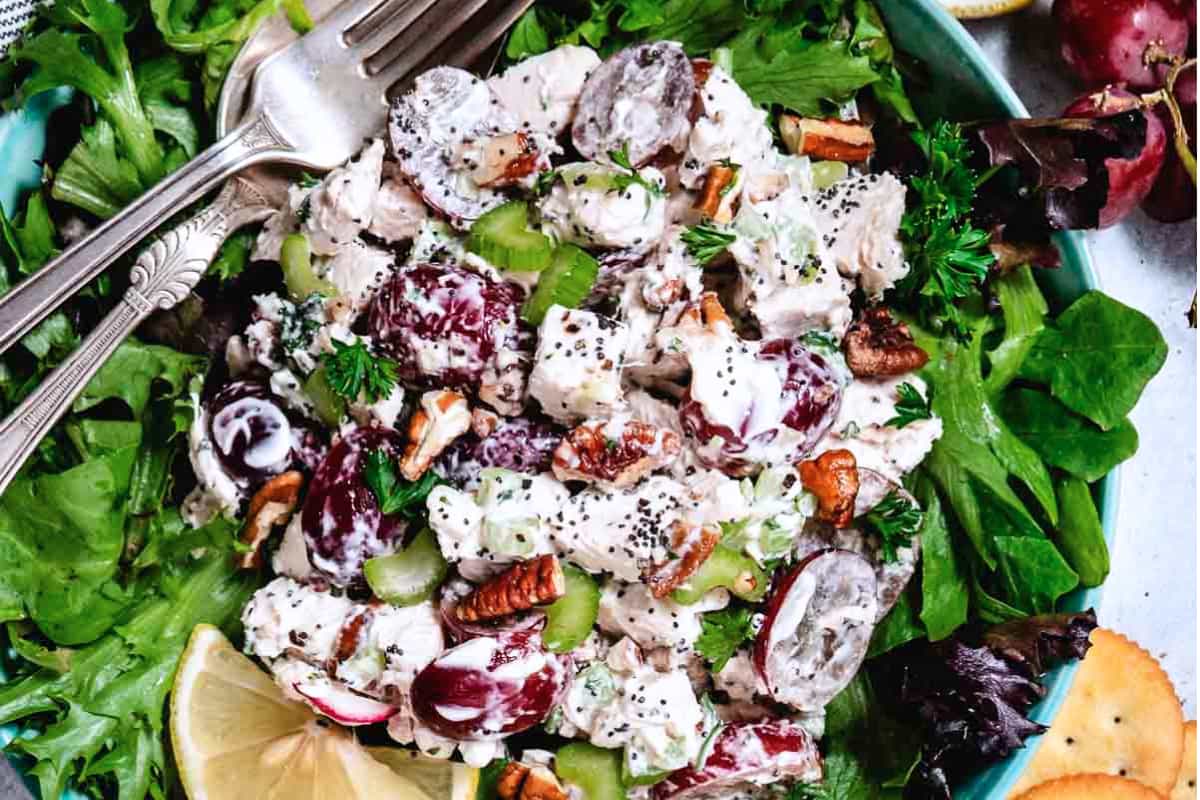A dish of Sonoma Chicken Salad.