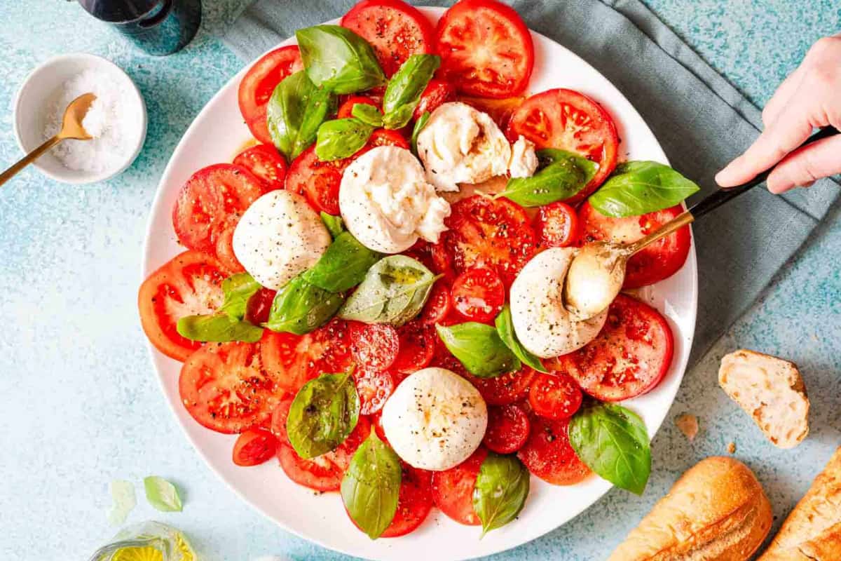 A plate of Burrata Caprese.