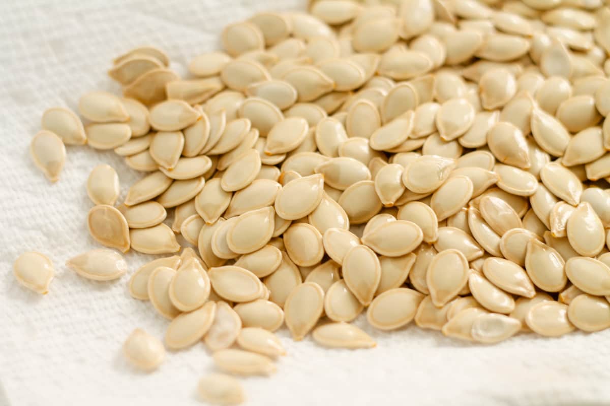 Pumpkin seeds drying on a towel.