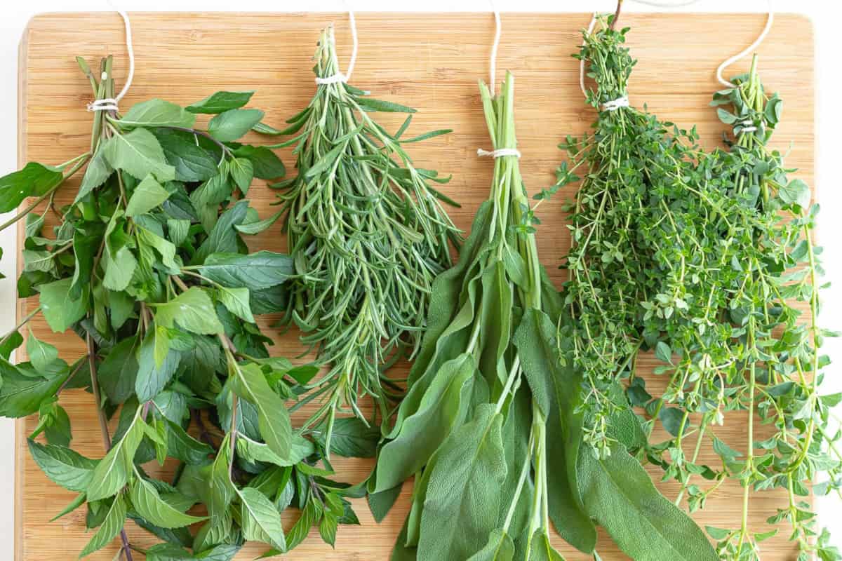 A dish of Freezing and Drying Herbs.